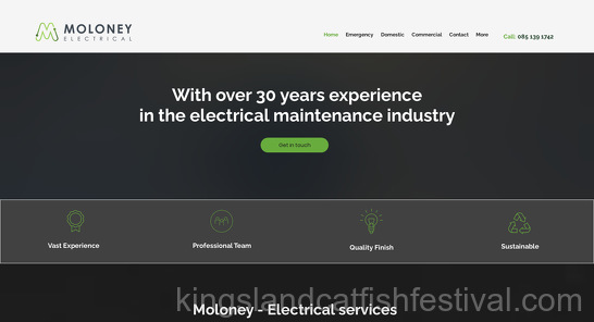 Moloney Electrical